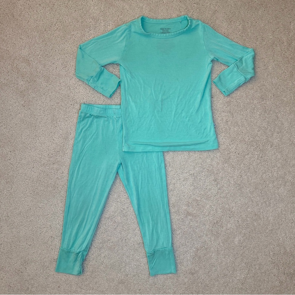 Posh Peanut Teal Long Sleeve Two Piece Pajama Set